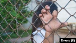 Imagen de referencia. (Envato)